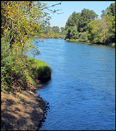Willamette River, Carola Dunn